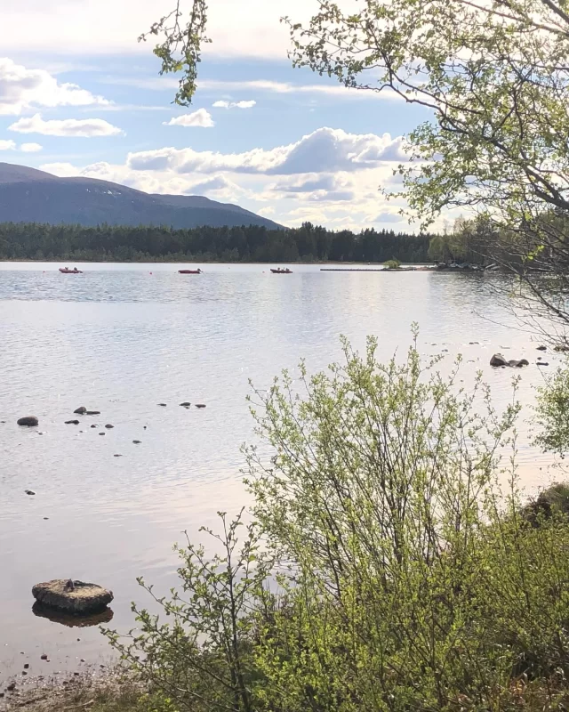 A sense of calm has returned to Tranquilo HQ once more, so I just wanted to send a moment of calm your way to help you gently start a new week too . . .

#MondayMomentOfCalm 
#BrandIdentityDesigner 
#MyTranquiloLifestyle 
#BreathingSpace 
#AQuietStyle 
#Tranquilo 
#Calm